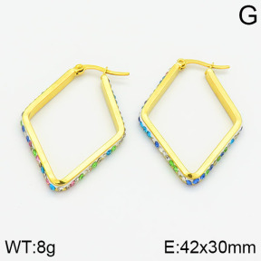 SS Earrings  2E4000429aakl-319
