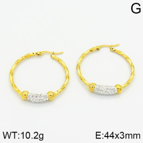 SS Earrings  2E4000430ablb-319