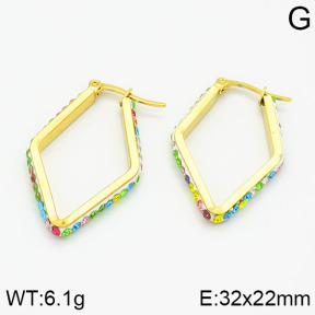 SS Earrings  2E4000431baka-319