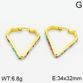 SS Earrings  2E4000434baka-319