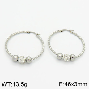 SS Earrings  2E4000437avja-319