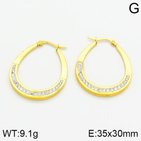 SS Earrings  2E4000438vbll-319