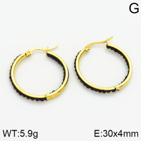 SS Earrings  2E4000440aakl-319