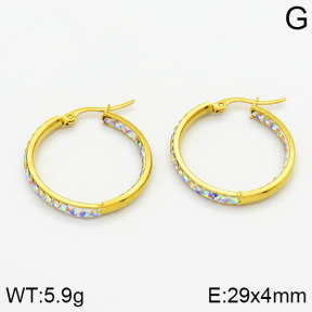 SS Earrings  2E4000441baka-319