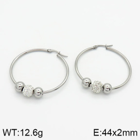 SS Earrings  2E4000442avja-319