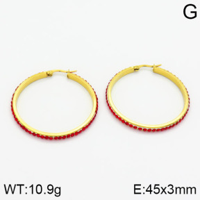 SS Earrings  2E4000443aakl-319