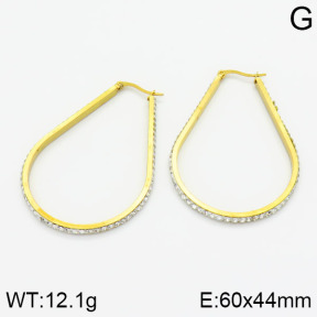 SS Earrings  2E4000446vbmb-319