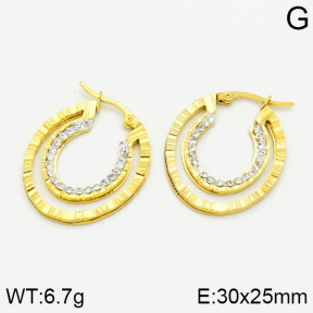 SS Earrings  2E4000447ablb-319