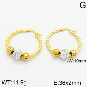 SS Earrings  2E4000448baka-319