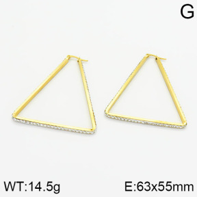SS Earrings  2E4000451vbmb-319