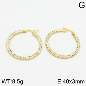 SS Earrings  2E4000452aakl-319