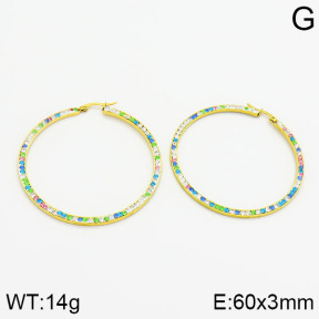 SS Earrings  2E4000453vbmb-319