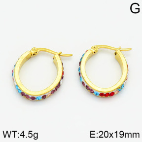 SS Earrings  2E4000454aajl-319