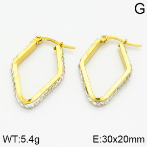 SS Earrings  2E4000455baka-319
