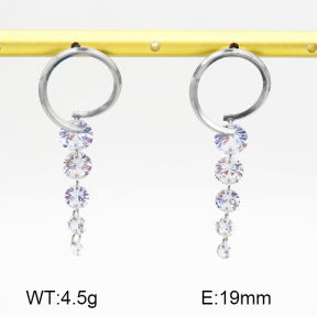 SS Earrings  7E4000014bblo-712