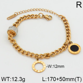 SS Bracelet  2B4000447bhia-617