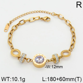 SS Bracelet  2B4000472bhia-617