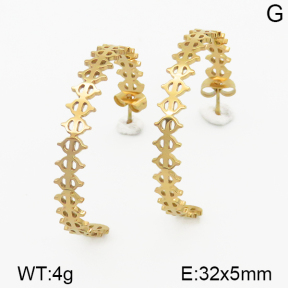 SS Earrings  5E2000821bhva-722