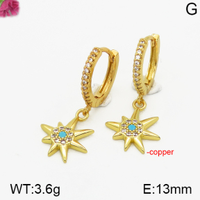 Fashion Copper Earrings  F5E400360vhha-J111