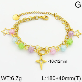 SS Bracelet  2B4000491bhbl-610