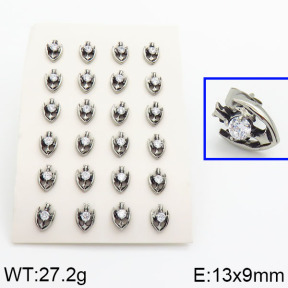 SS Earrings  2E4000523hibb-379