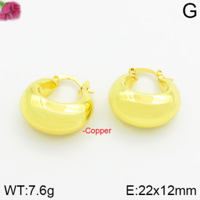 Fashion Copper Earrings  F2E200027ahjb-J40