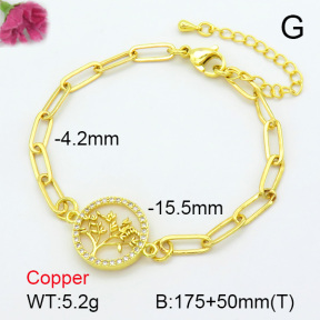 Zirconia  Fashion Copper Bracelet  F7B400304vbnb-L024