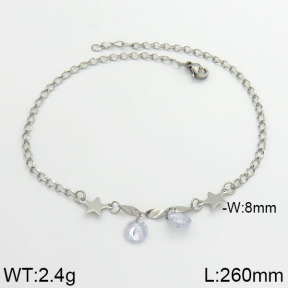 Stainless Steel Anklets  2A9000090ablb-350