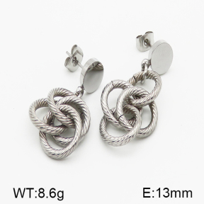 Stainless Steel Earrings  5E2000834ahjb-706