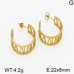 Stainless Steel Earrings  5E2000835ahjb-706