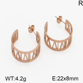 Stainless Steel Earrings  5E2000836ahjb-706