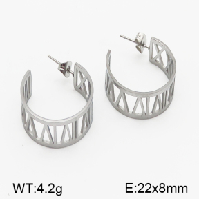 Stainless Steel Earrings  5E2000837vhha-706