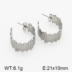 Stainless Steel Earrings  5E2000841ahjb-706