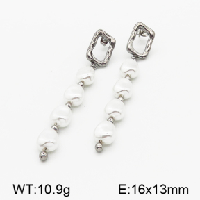 Stainless Steel Earrings  5E3000206ahjb-706