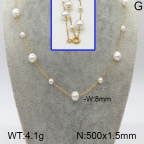 Stainless Stee Necklace  5N3000085vhha-669