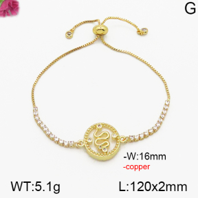 Fashion Copper Bracelet  F5B400459bhva-J101
