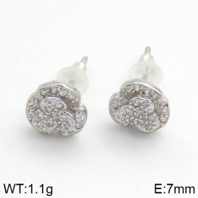 925 Silver Earrings  JE0000590vihb-L20