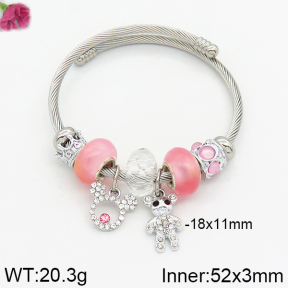 Fashion  Bangle  TZ2000018vbpb-J50