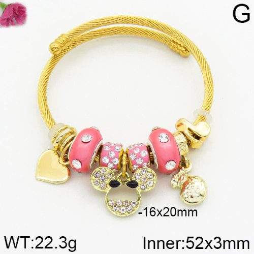 Fashion  Bangle  TZ2000021vhha-J50