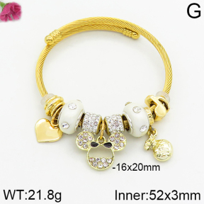 Fashion  Bangle  TZ2000022vhha-J50