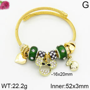 Fashion  Bangle  TZ2000023vhha-J50