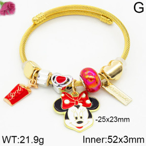 Fashion Bangles  TZ2000042bhjl-J54