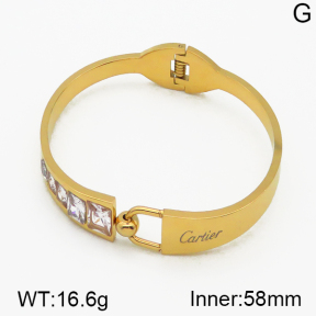 Cartier  Bangles  PZ0138388ahpv-617