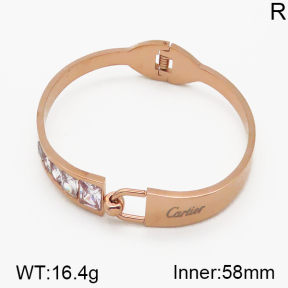 Cartier  Bangles  PZ0138389ahpv-617