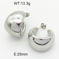 Stainless Steel Earrings  3E2004643vhkb-066