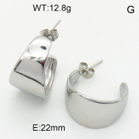 Stainless Steel Earrings  3E2004645bhva-066
