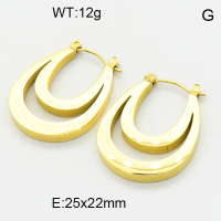 Stainless Steel Earrings  3E2004658bhva-066