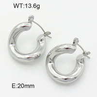 Stainless Steel Earrings  3E2004682vhha-066
