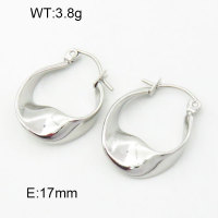Stainless Steel Earrings  3E2004683vhha-066