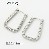 Stainless Steel Earrings  3E4003194bhva-066